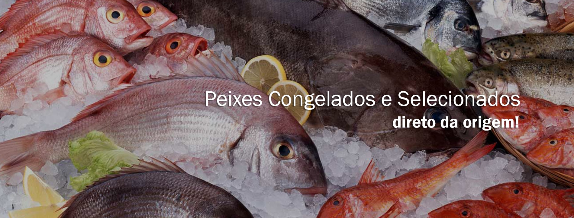 Peixes 