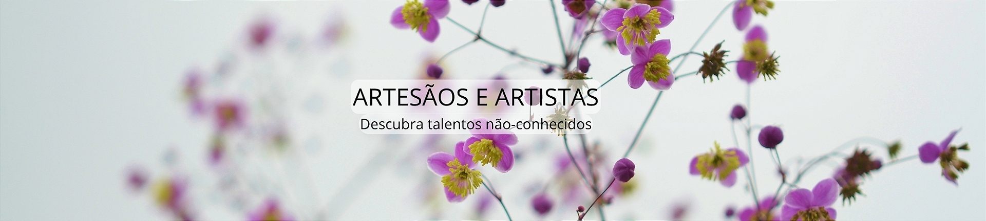 ARTESÕES E ARTISTAS