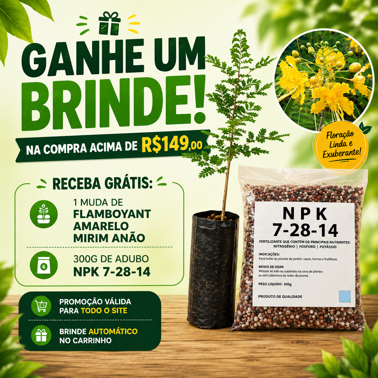 Kits Mudas mobile