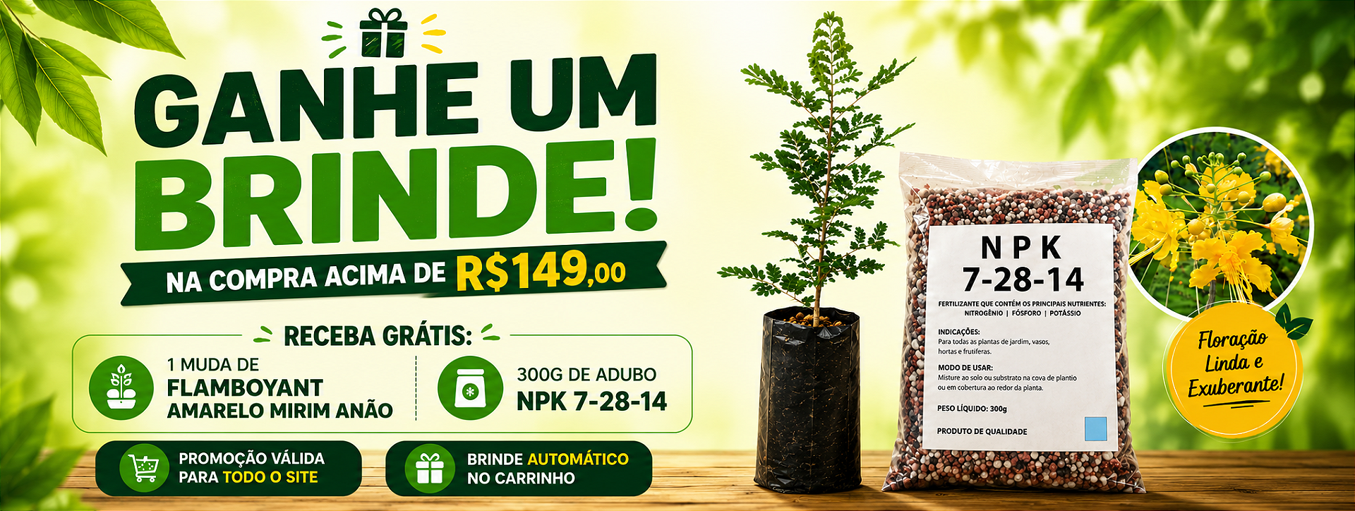 Kits Mudas