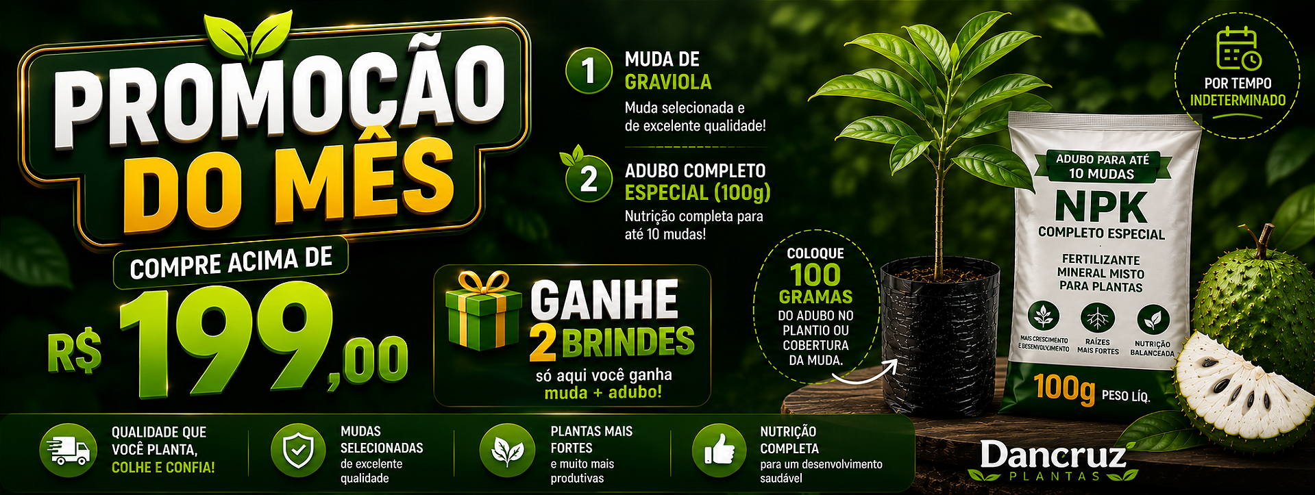 Kits Mudas