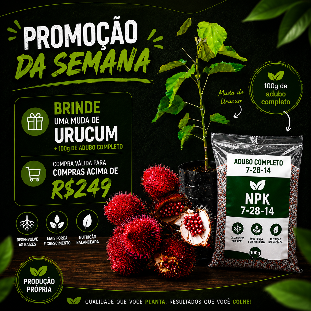Kits Mudas mobile