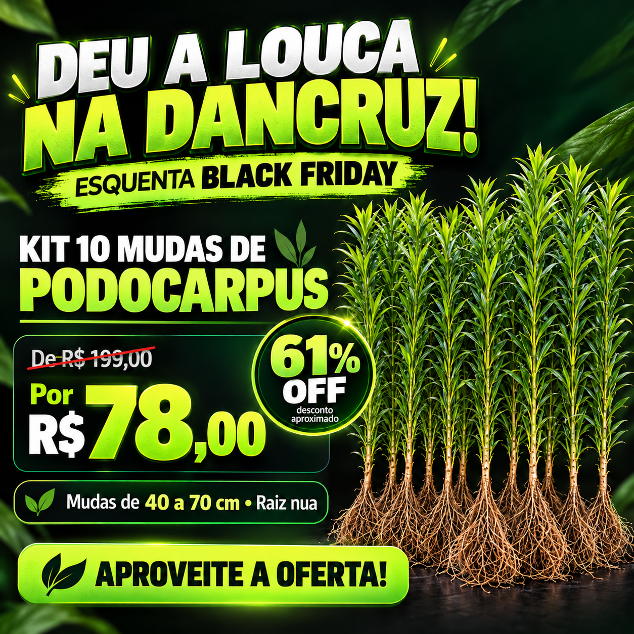 Kits Mudas mobile