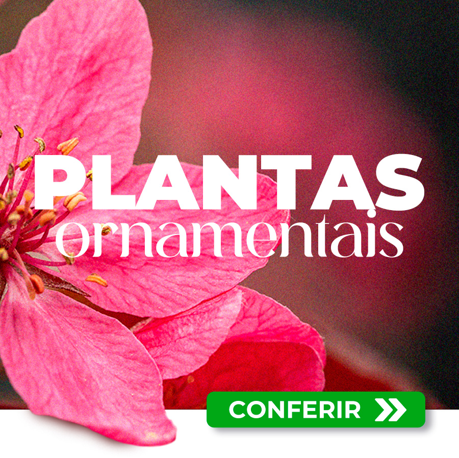 ornamental full banner mobile