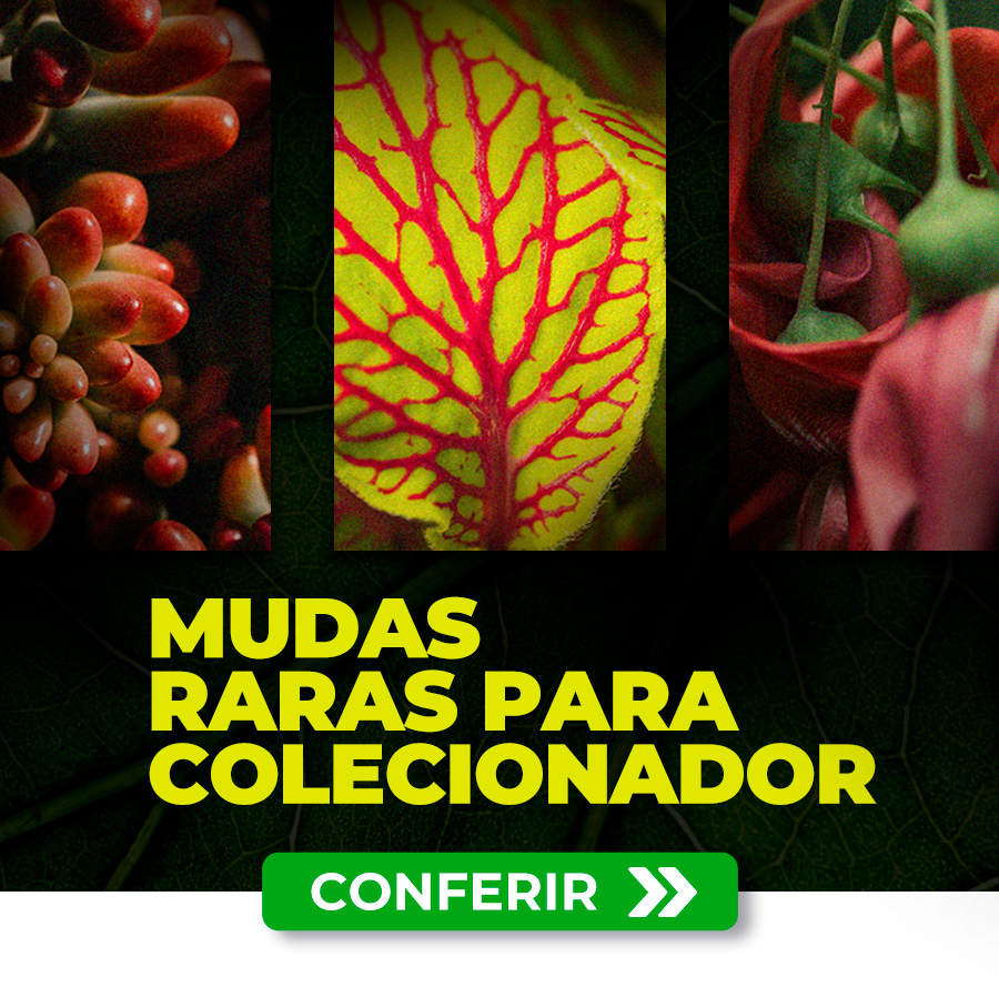 raras para colecionador full banner mobile