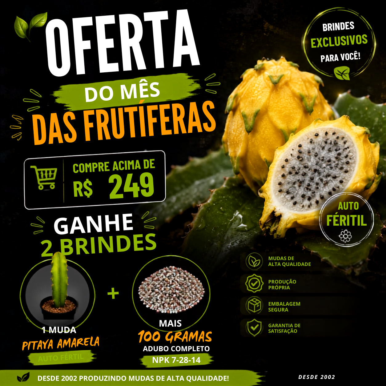 Kits Mudas mobile