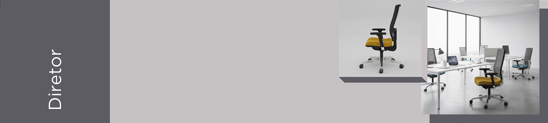 Diretor
