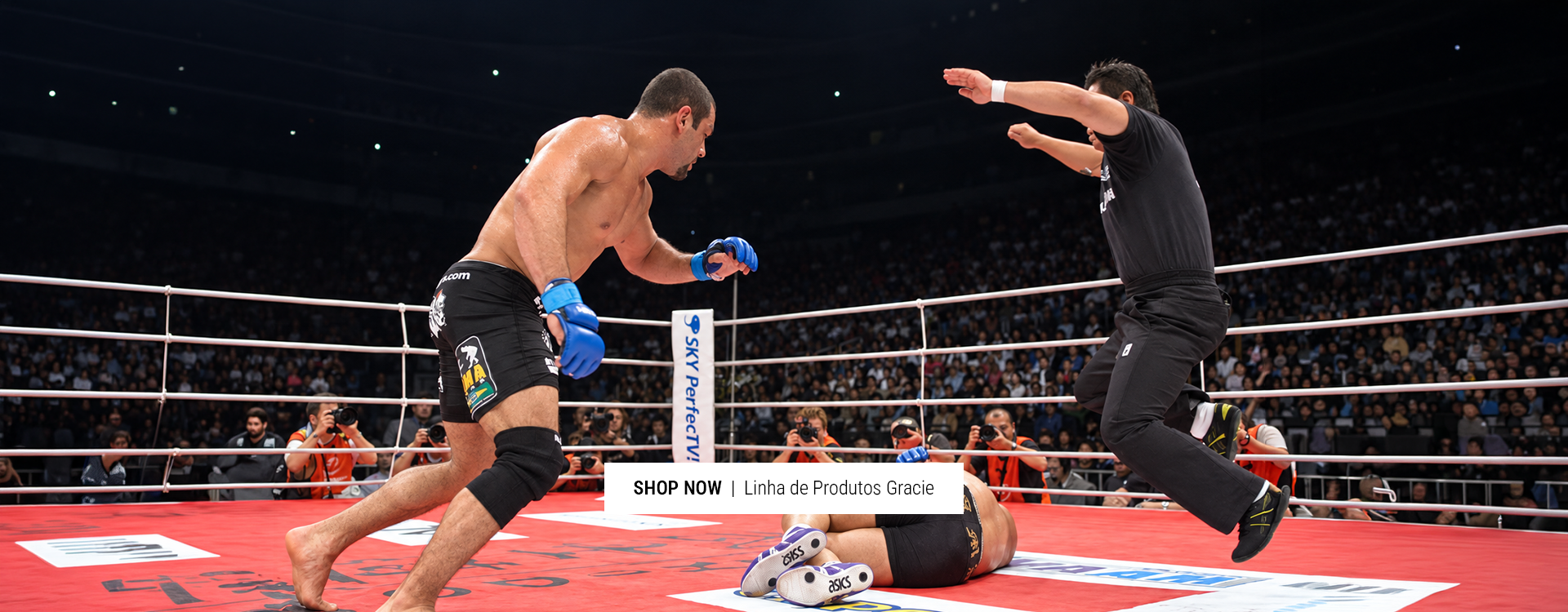 Linha Gracie 1