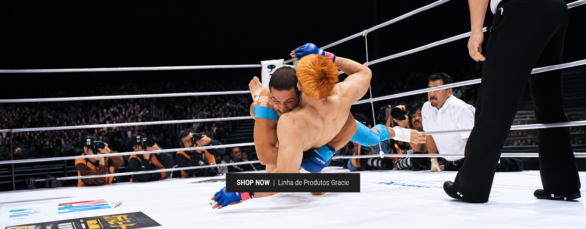 Linha Gracie 2