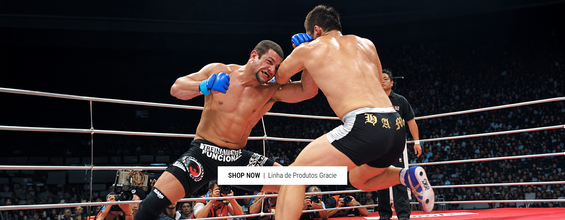 Linha Gracie Intro