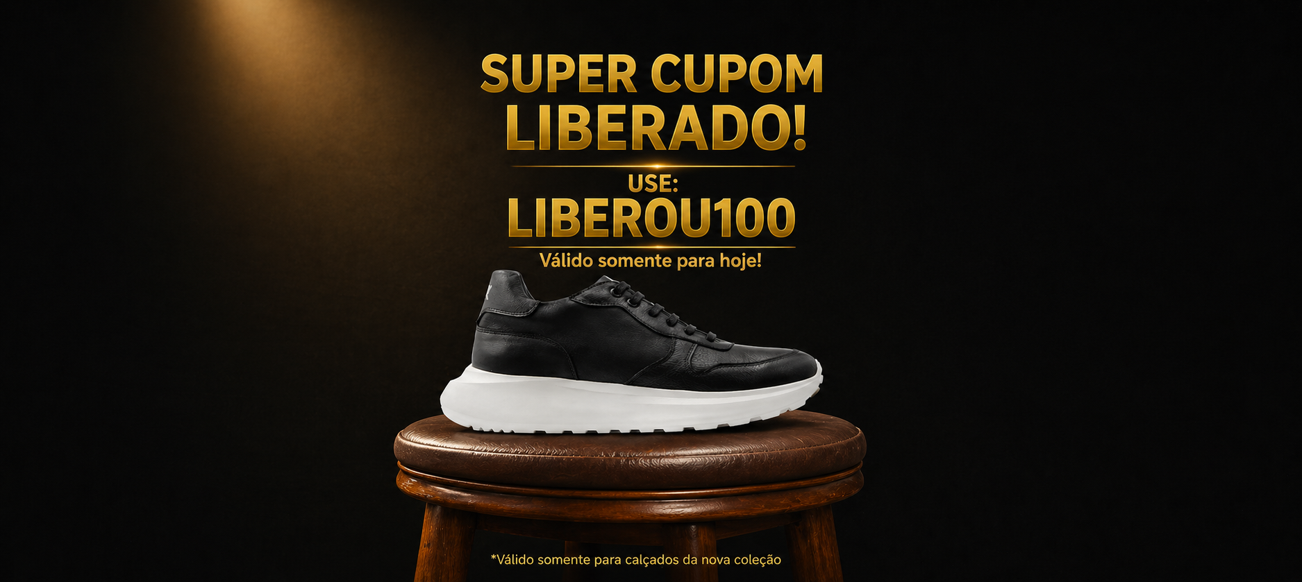 Full banner cupom100