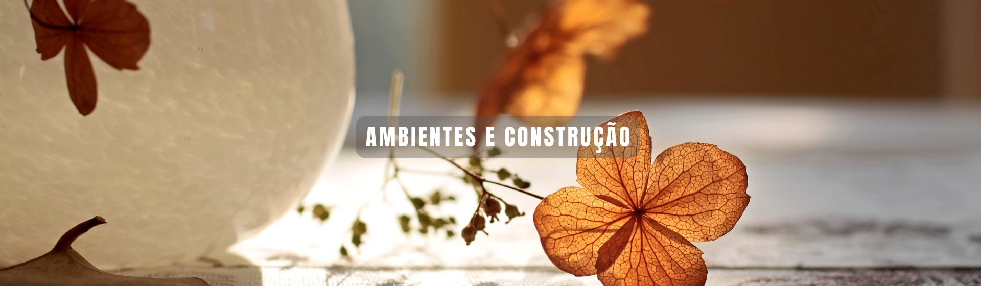 AMBIENTES E CONSTRUÇÃO