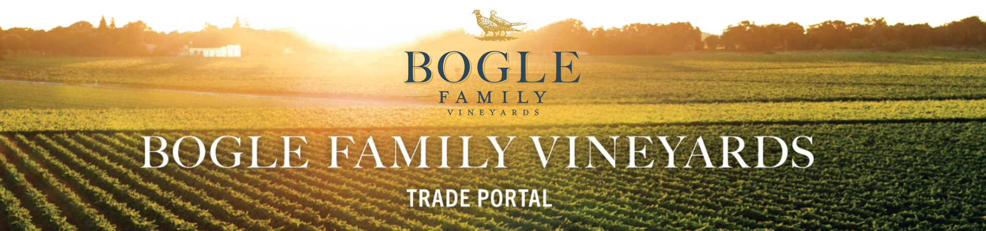BOGLE MARCA