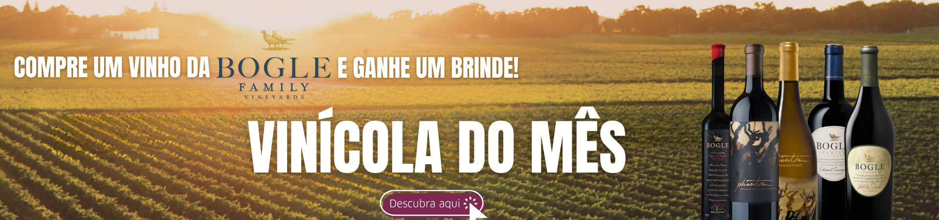 vINICOLA DO MES @DESKTOP