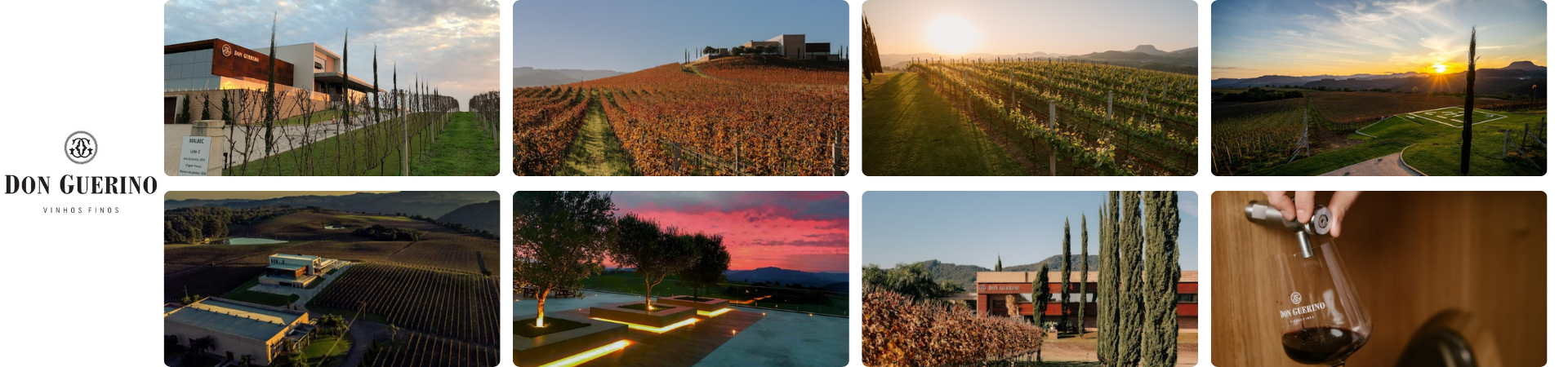 don guerino_marca @desktop