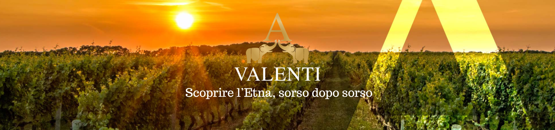 VALENTI ENRICO IV ETNA BIANCO DOC