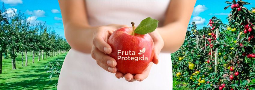 Fruta Protegida