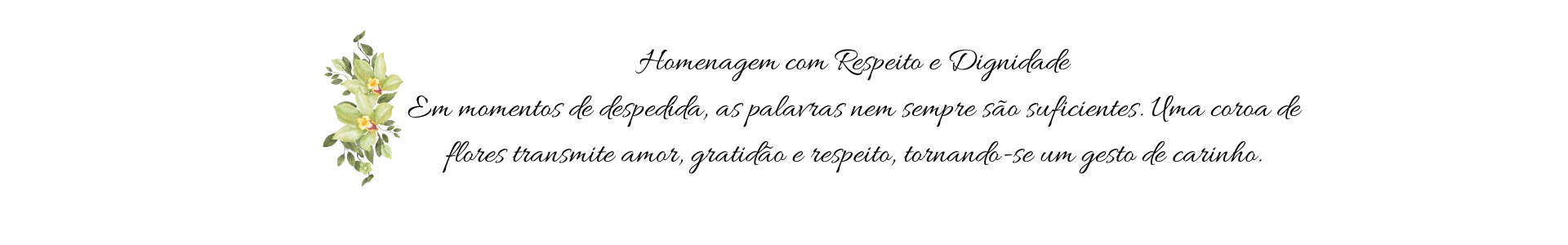 coroa novo