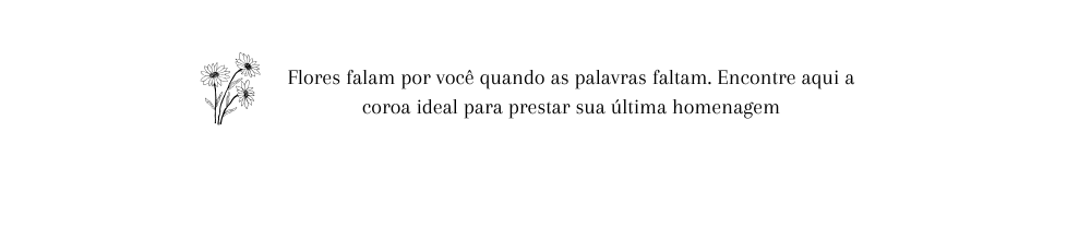 banner coroa