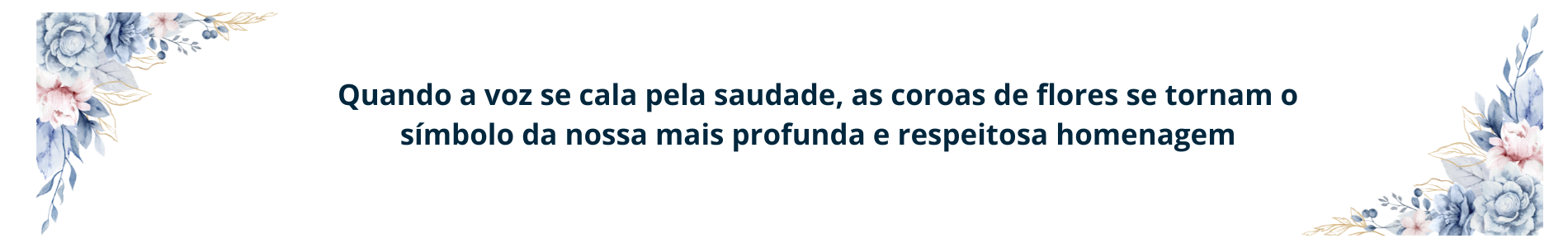 coroa novo