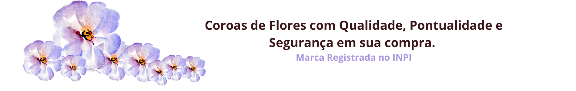 banner coroa