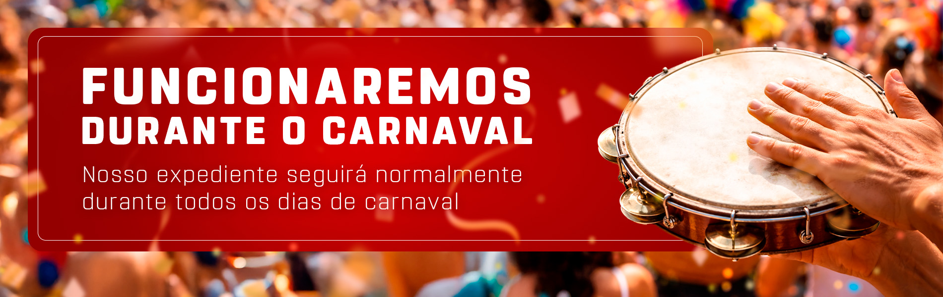 Carnaval Funcionamento