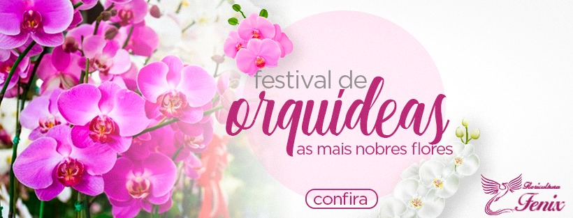 festival de orquideas