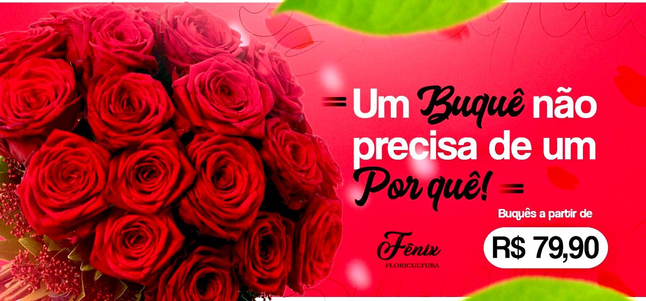 Banner Um Buque não Precisa de um porque