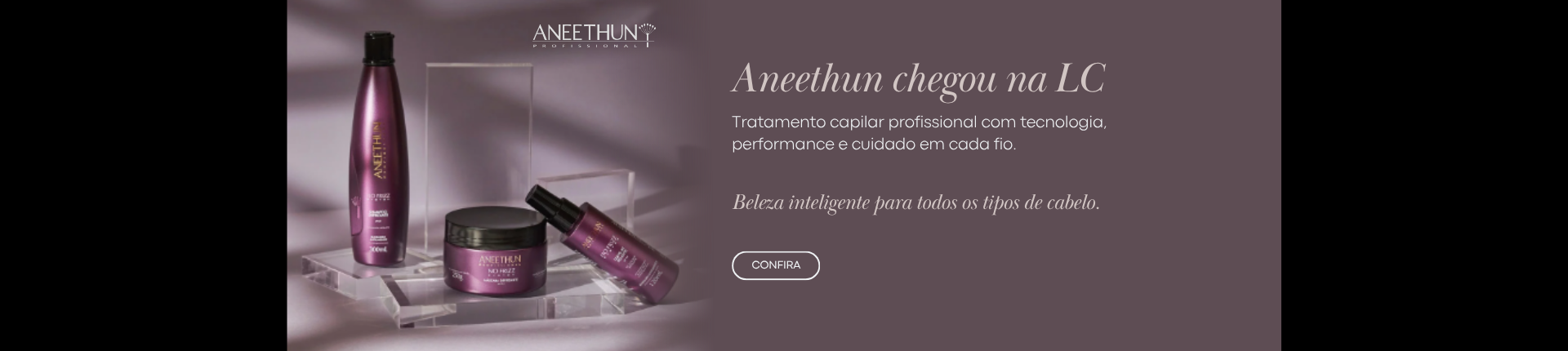 Aneethun