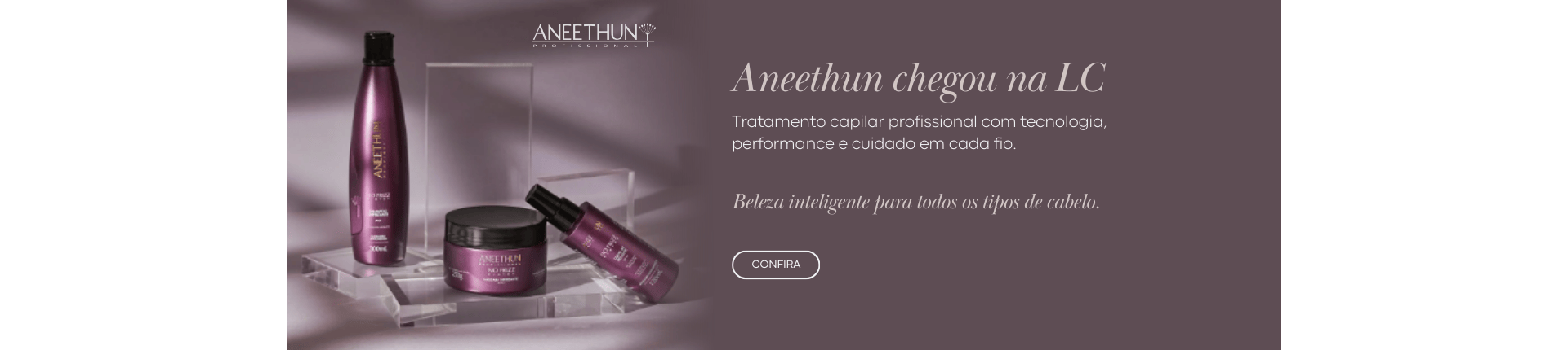 Aneethun