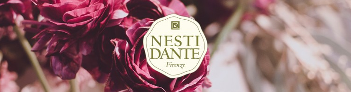 Banner Nesti Dante