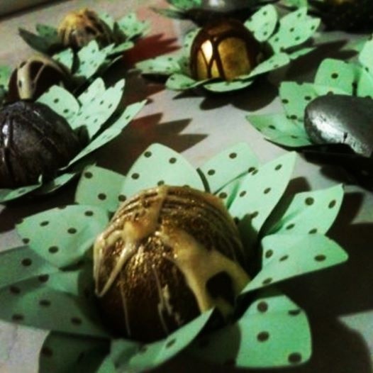 trufas finas