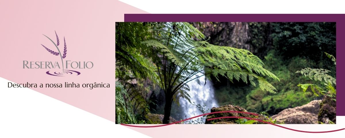 Conheça a Reserva Folio