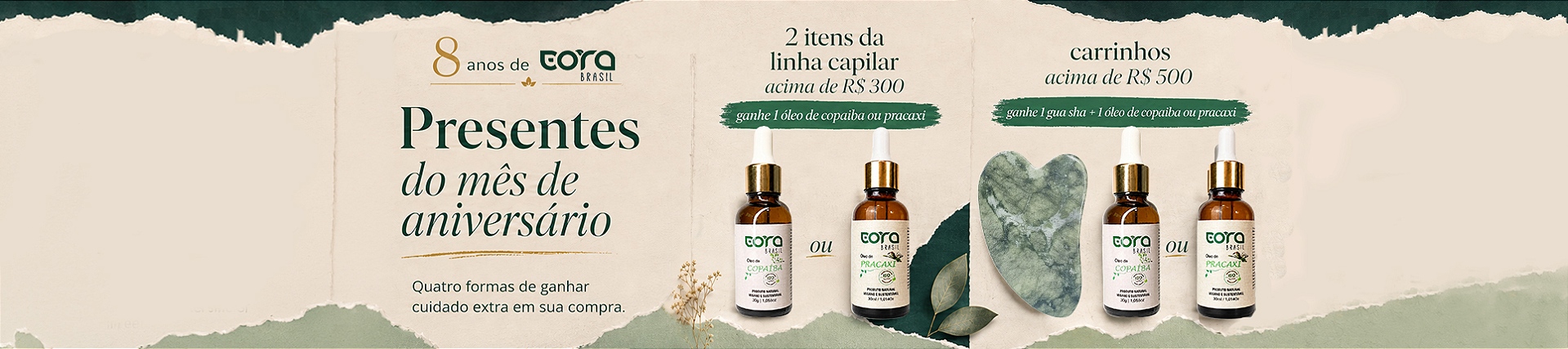 Banner Regras da Promoção  1