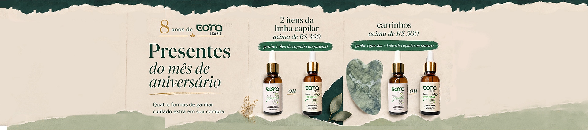Banner Regras da Promoção  1