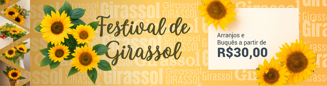 Festival de Girassol 2