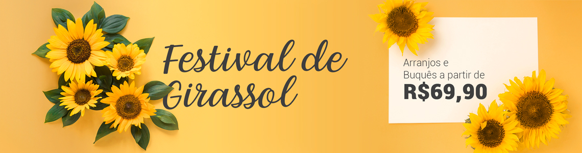 Festival de Girassol