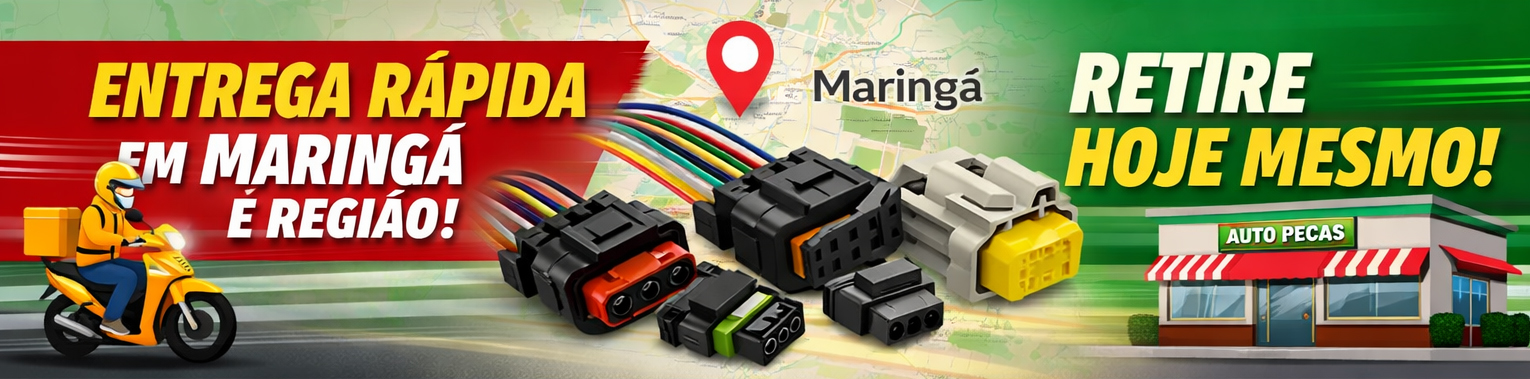 Entrega Rapida Maringa