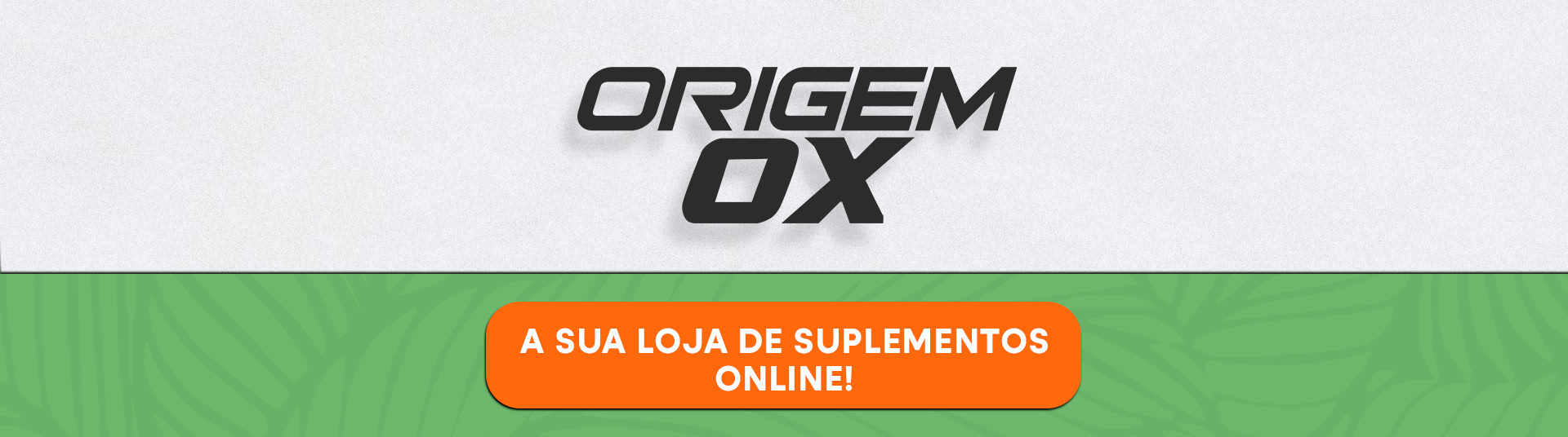 Full Banner Principal