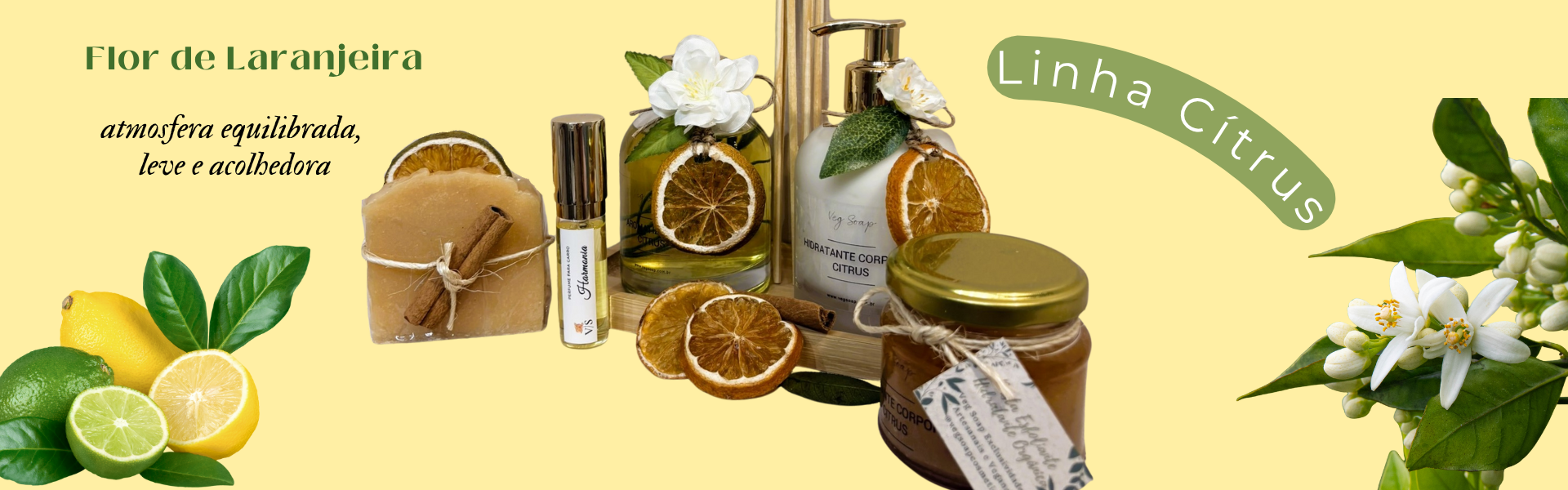 Flor de Laranjeira