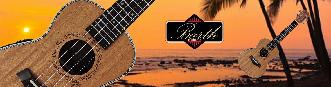 Barth Guitars