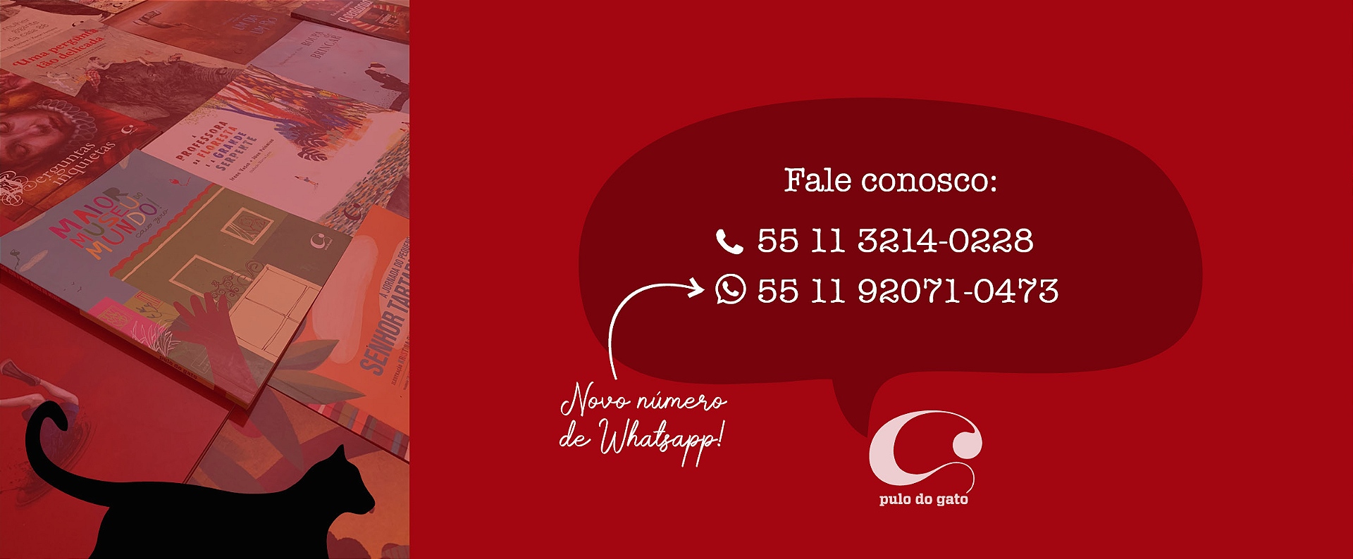 Fale conosco - telefone