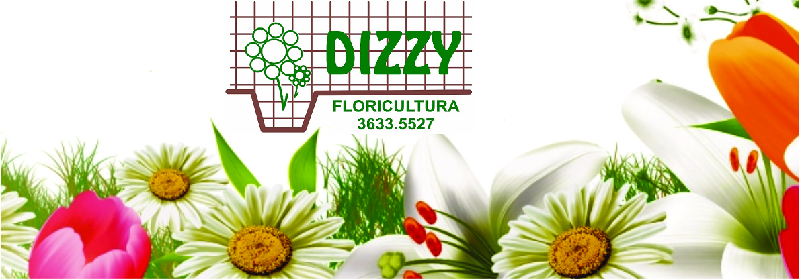 Dizzy logo
