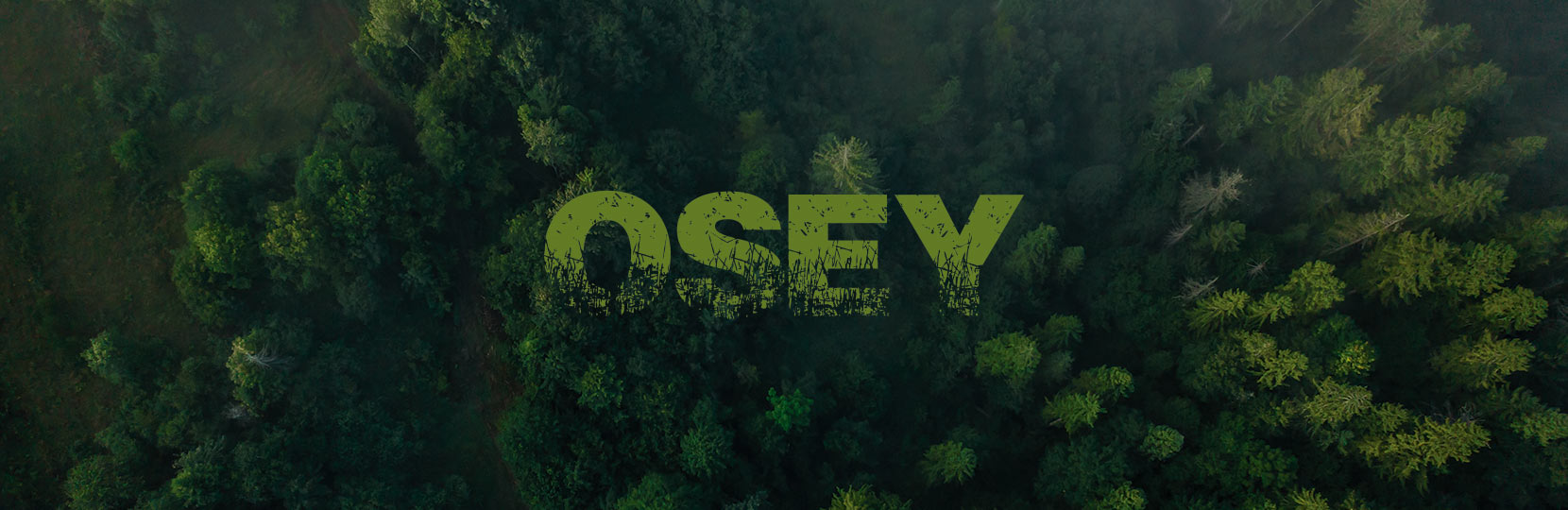 Full Osey Forest