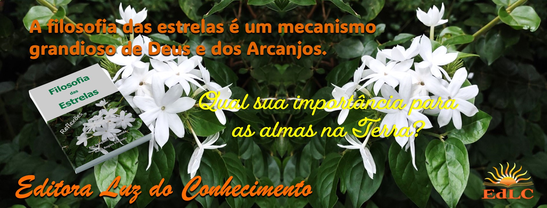 Editora Luz do Conhecimento