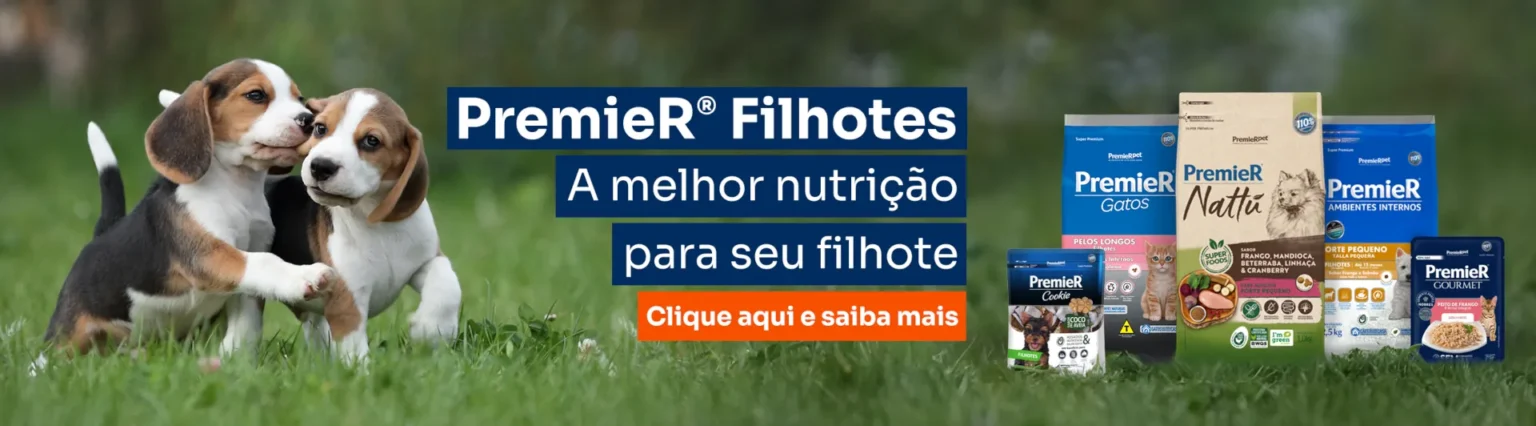 Premier Filhotes