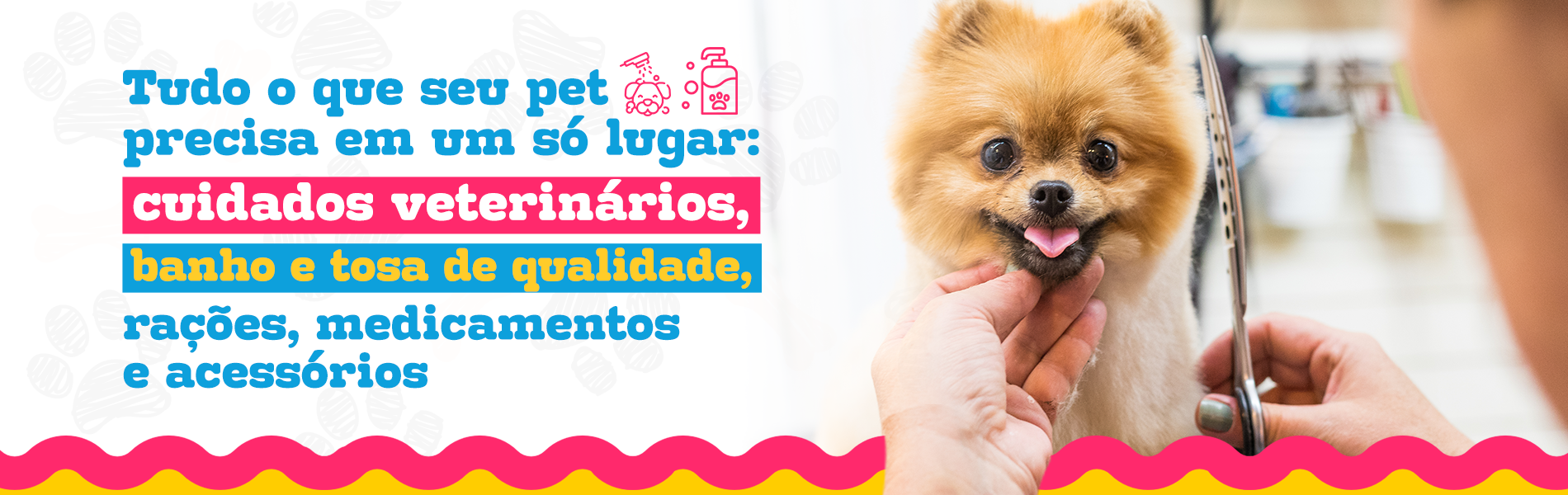 Cuidados veterinários