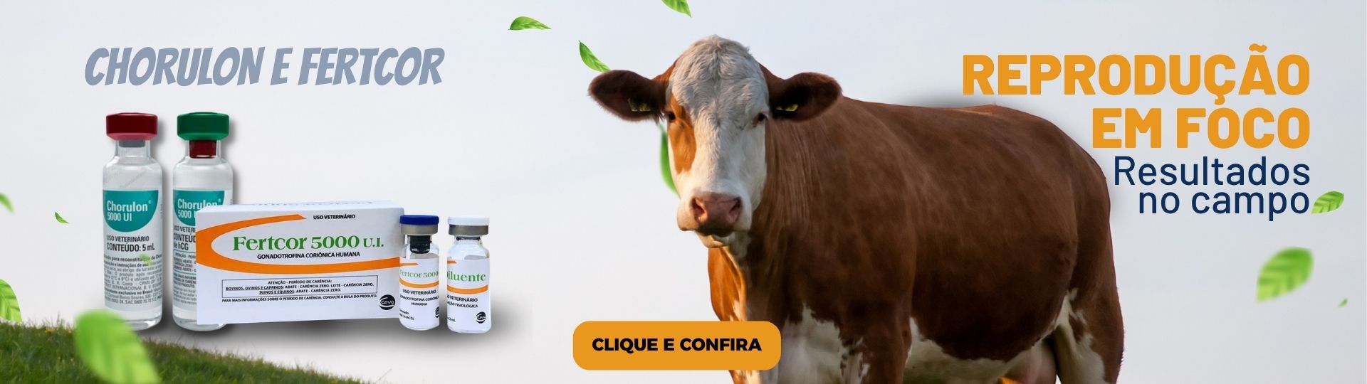 chorulon @desktop