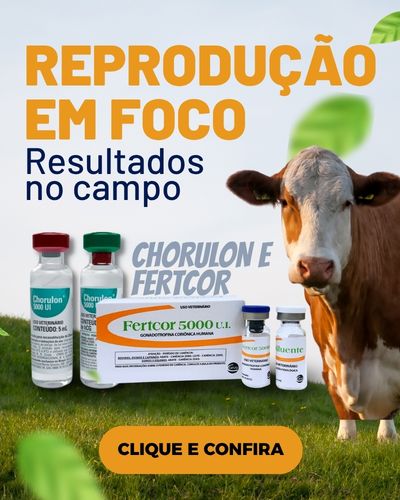 chorulon @MOBILE