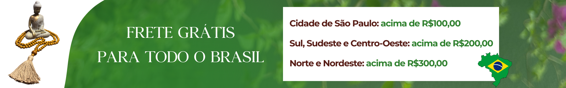 Frete grátis
